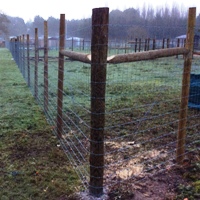 Reindeer Enclosure
